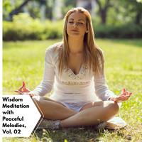 Wisdom Meditation With Peaceful Melodies, Vol. 02