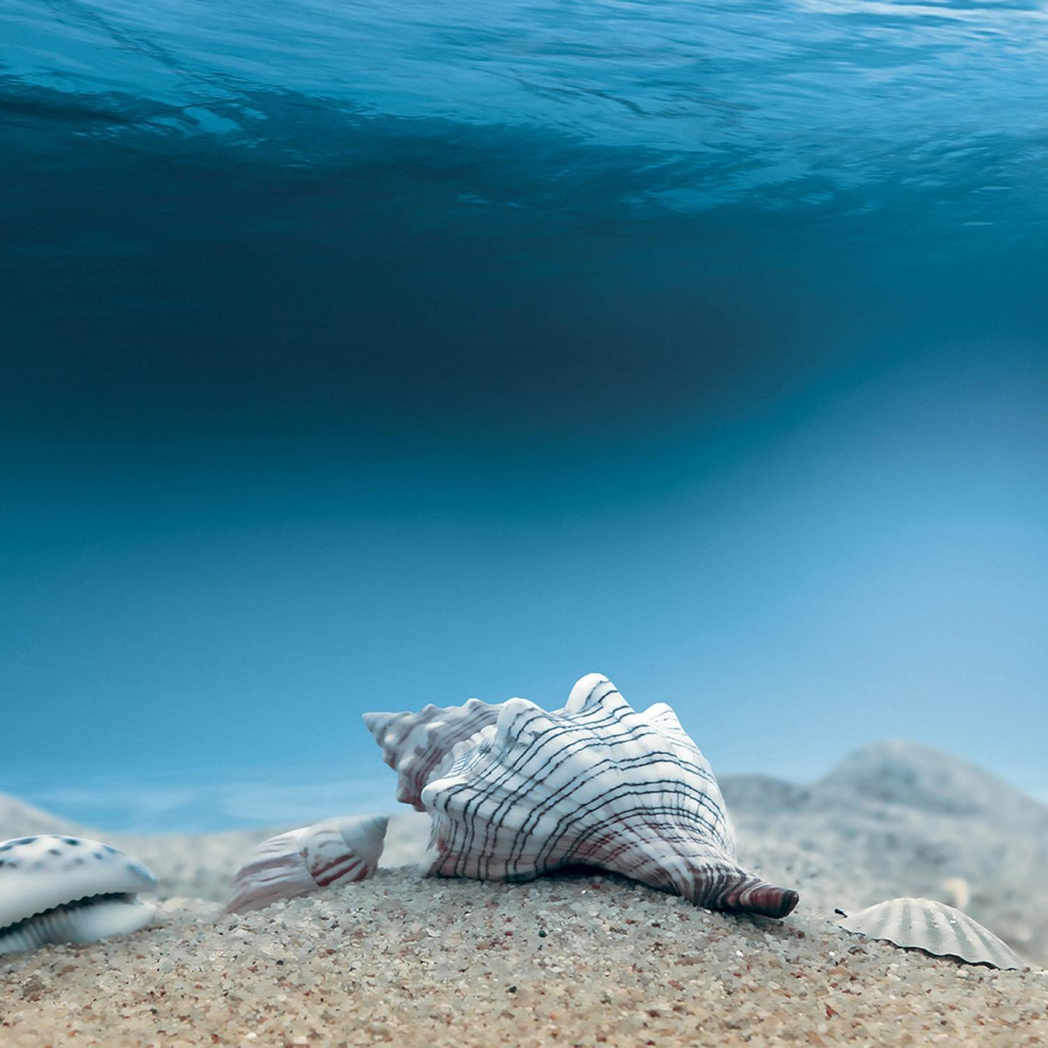 Ocean of Youth, Pt. 1