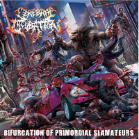 Bifurcation Of Primordial Slamateurs