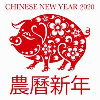 Chinese New Year 2020 (農曆新年)