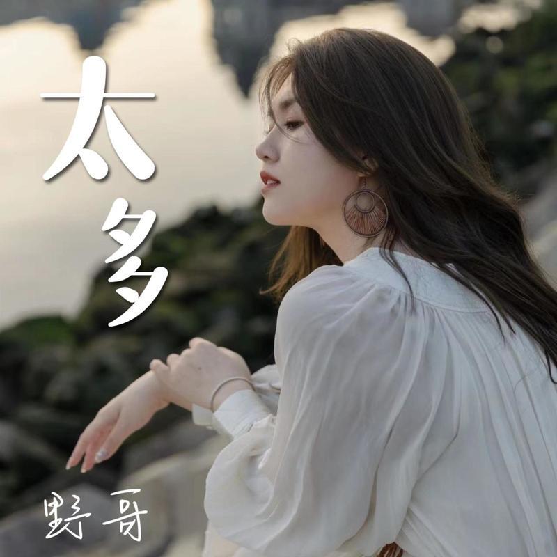 太多封面