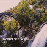 Ambient Forest Sounds Vol. 1