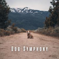 Dog Symphony: Binaural Tunes and Nature's Melodies