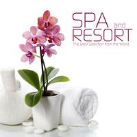 Spa and Resort Music the Best Selection from the World