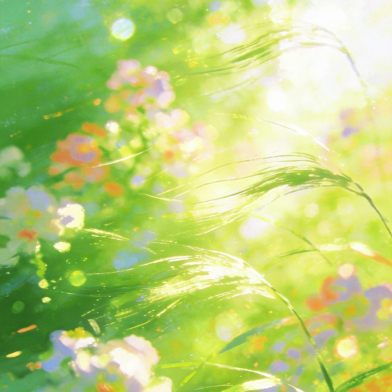 春盈 (Spring Glow)