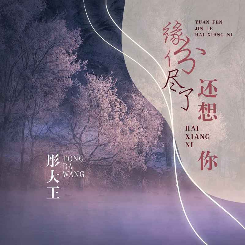 缘份尽了还想你 - 彤大王封面