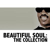 Beautiful Soul: The Collection