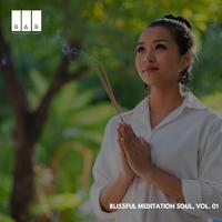 Blissful Meditation Soul, Vol. 01