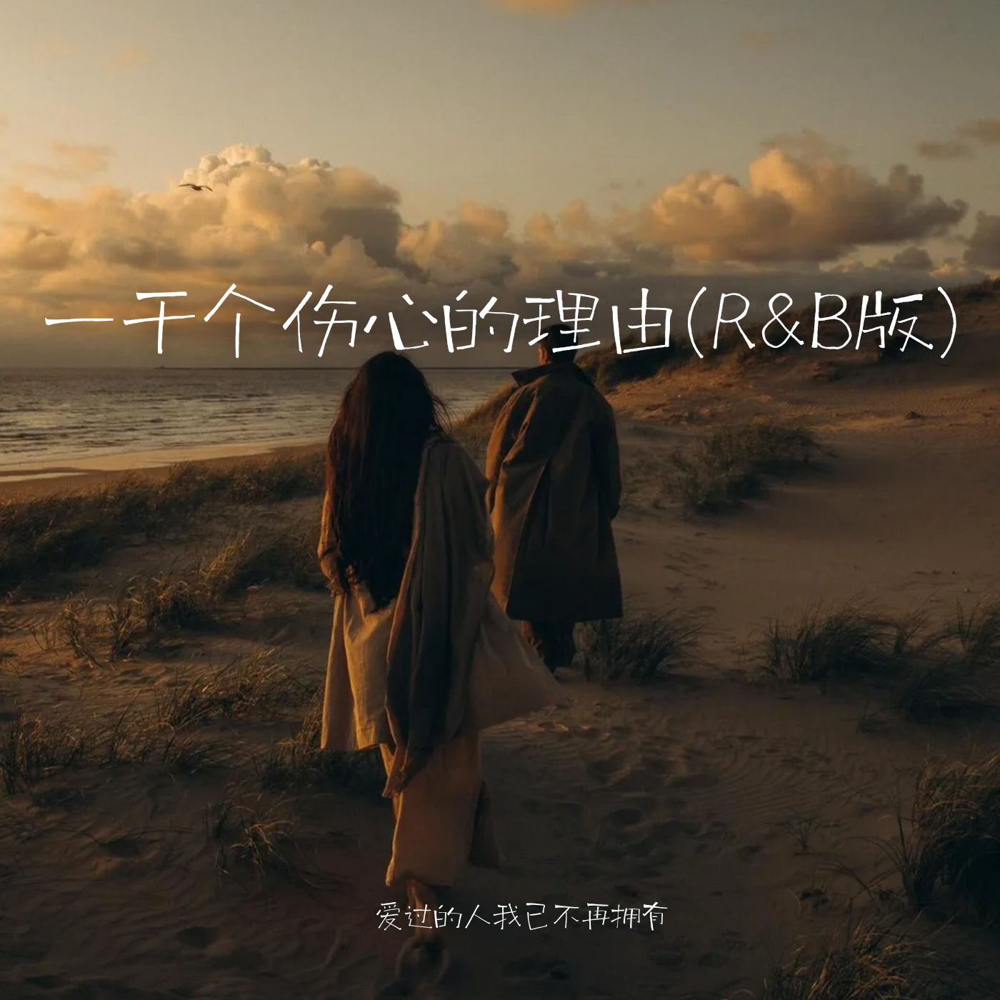 一千个伤心的理由(R&B版)封面