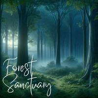 Forest Sanctuary