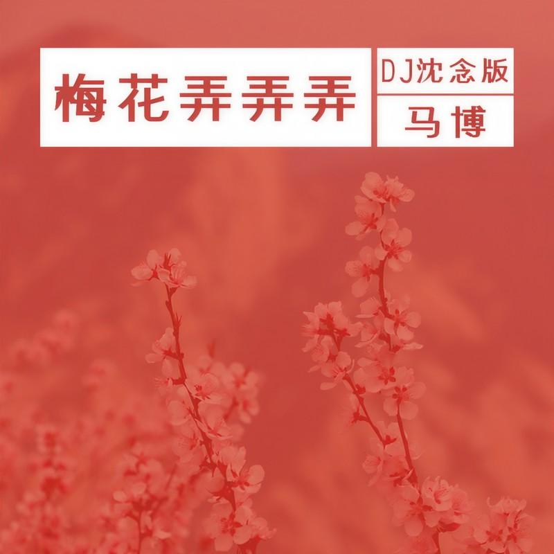 梅花弄弄弄 (DJ沈念版) - 马博封面