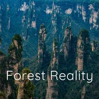 Forest Reality - 3 hours