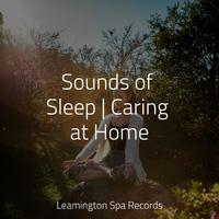 Sounds of Sleep | Caring at Home