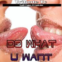 Do What U Want: Tribute to Lady Gaga, DJ Antoine