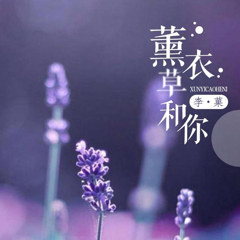 薰衣草和你 (伴奏)封面