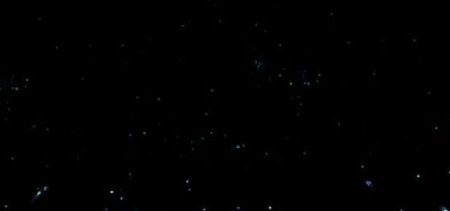 N2UtheHartlocker头像