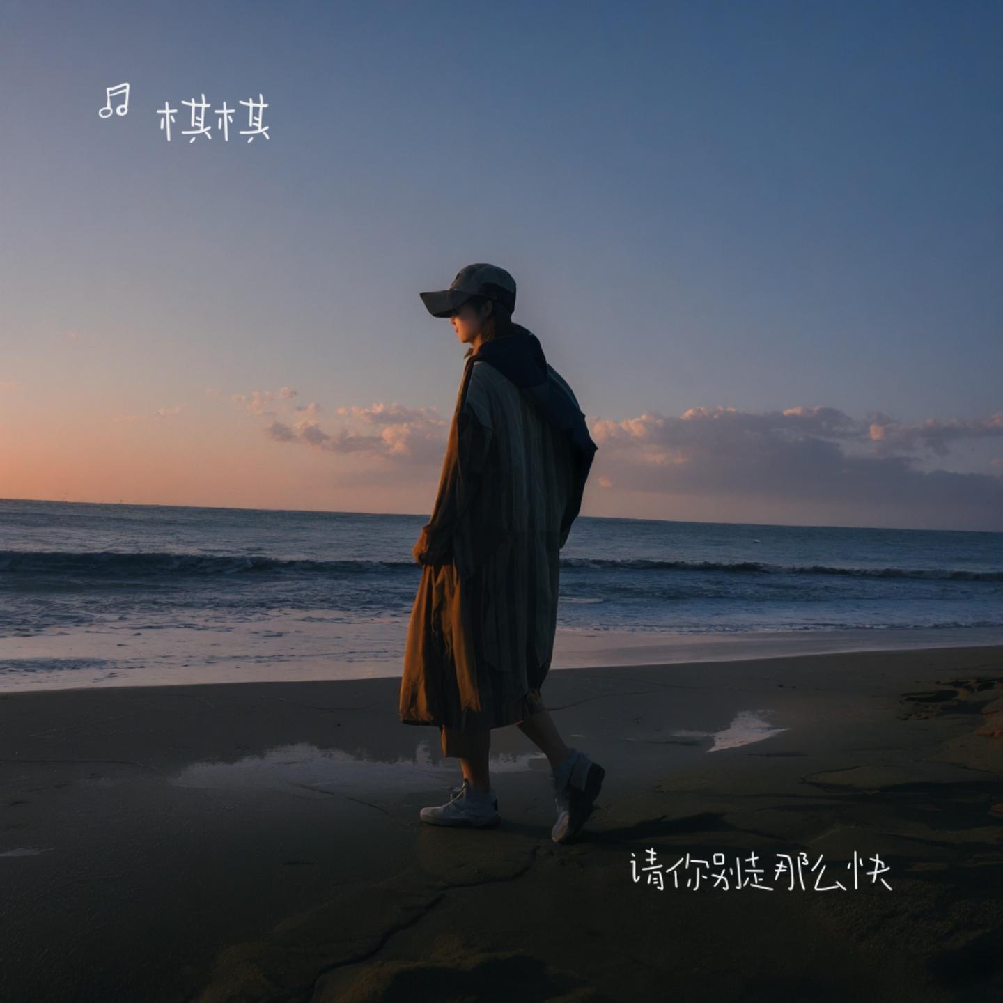 请你别走太快（烟嗓版）封面