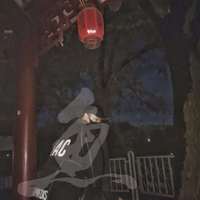 鱼二三