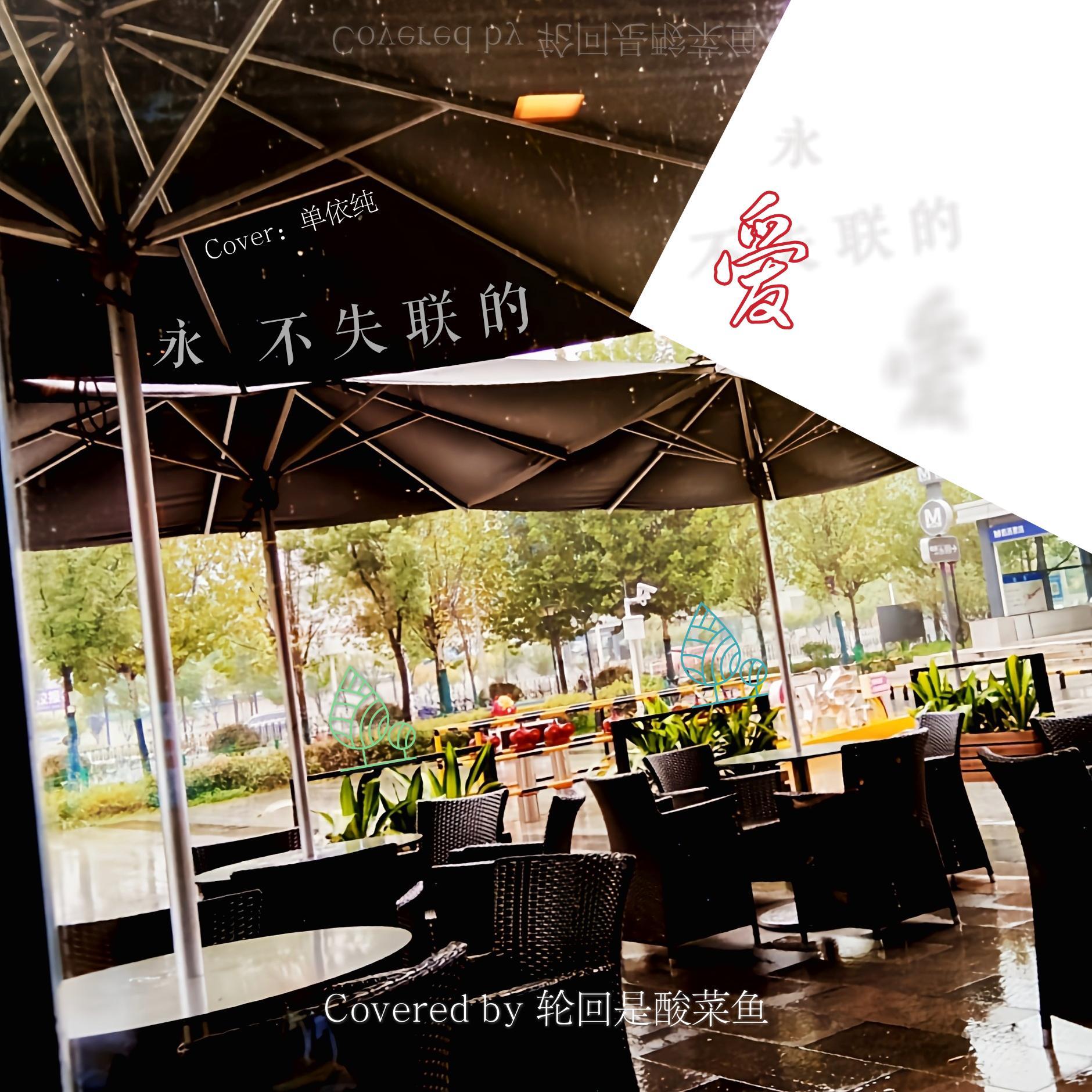 永不失联的爱（翻自 单依纯）