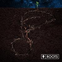 Roots