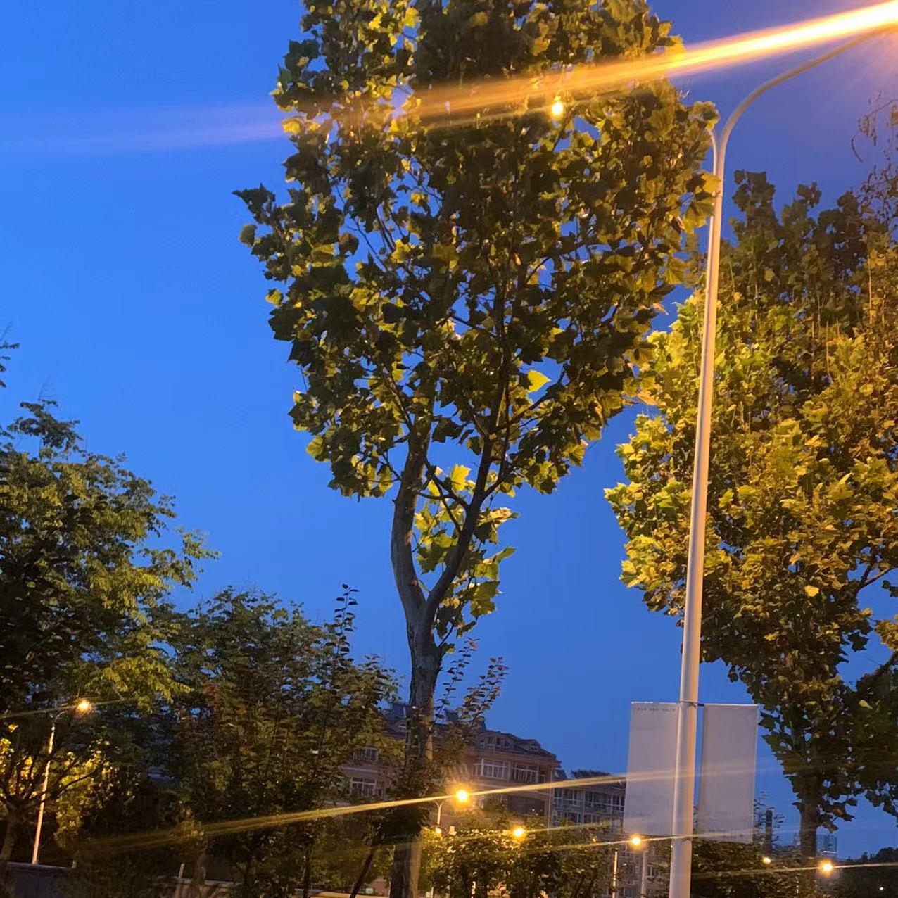 我的眼里只有你封面