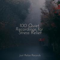 100 Quiet Recordings for Stress Relief