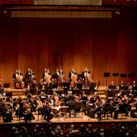 Budapest Festival Orchestra