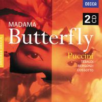 Puccini: Madama Butterfly (2 CDs)