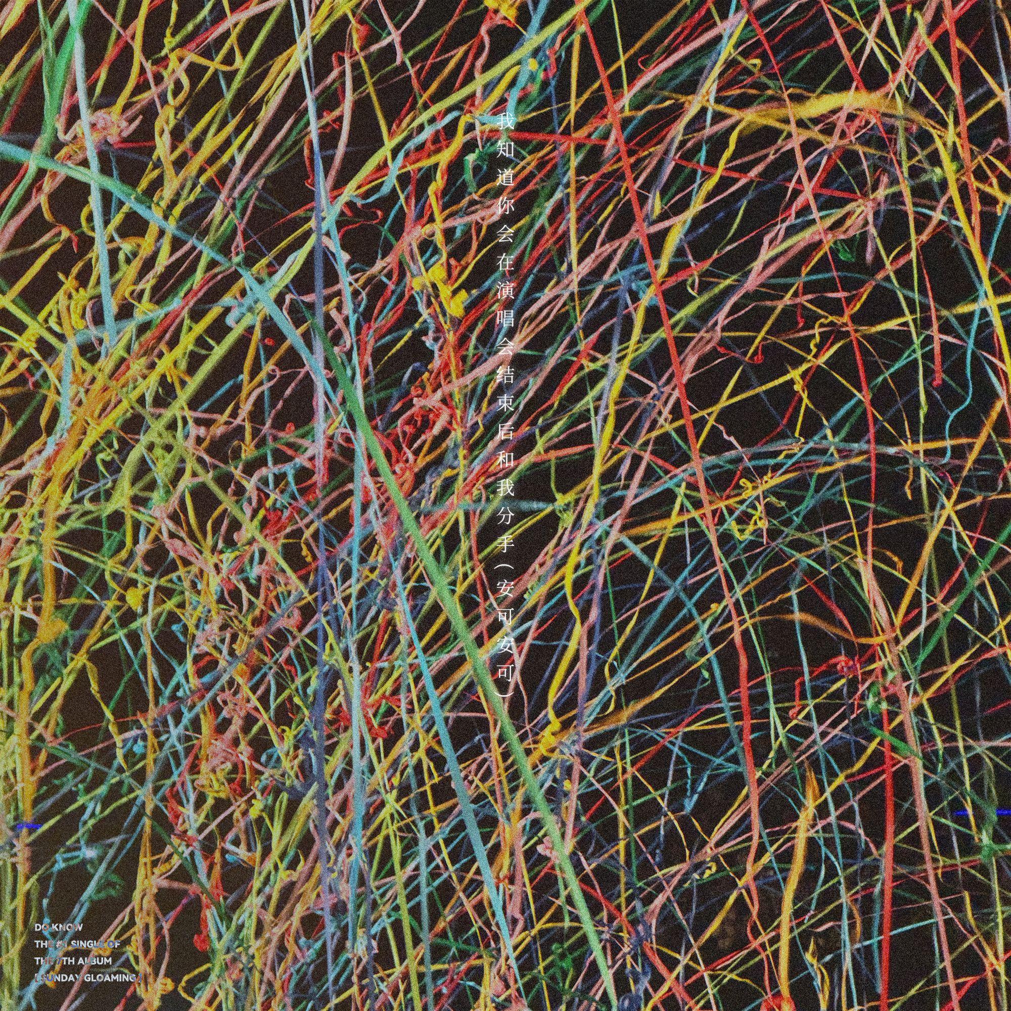 我知道你会在演唱会结束后和我分手