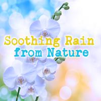 Soothing Rain from Nature