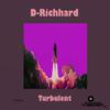 D-Richhard - Turbulent (original mix)