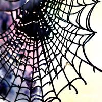 Spider Webs (feat. John Rushton)