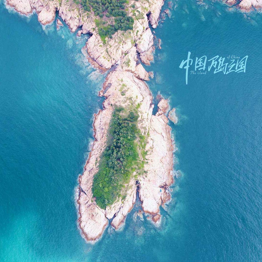 一百天封面