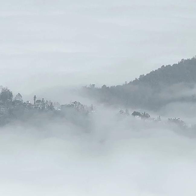 忍冬(one take demo)