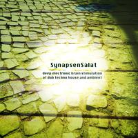 SynapsenSalat (Deep Electronic Brain Stimulation of Dub Techno House and Ambient)