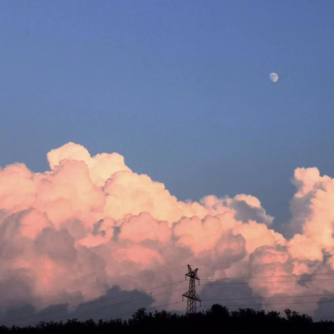 [Free]"柑 橘 乌 云 "MELODY TYPE BEAT