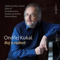 Ondřej Kukal: Struggle for Joy