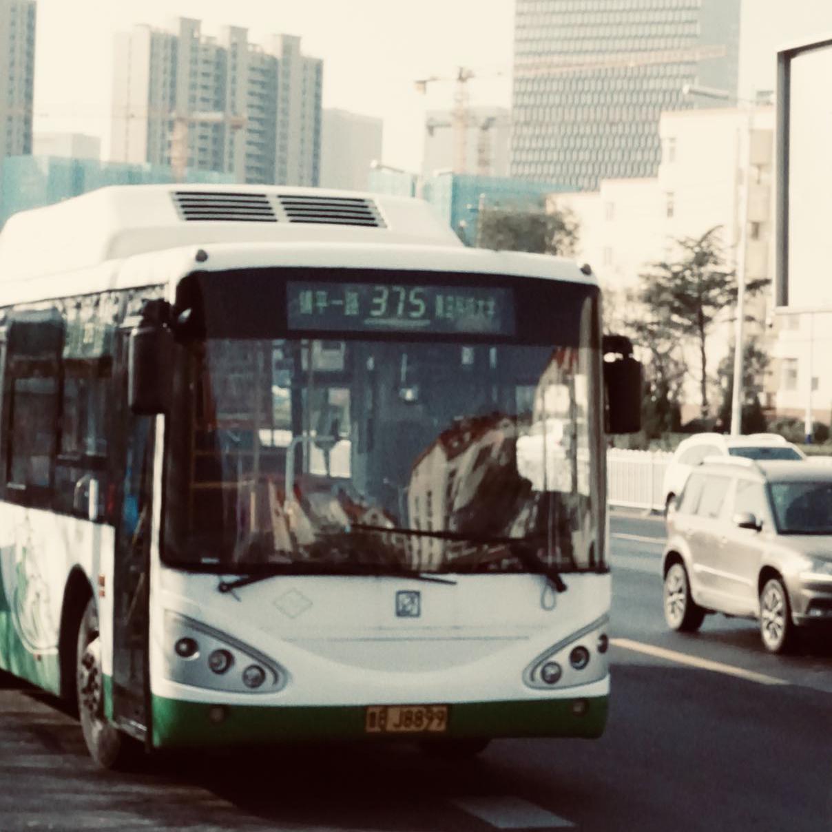 莉莉安封面