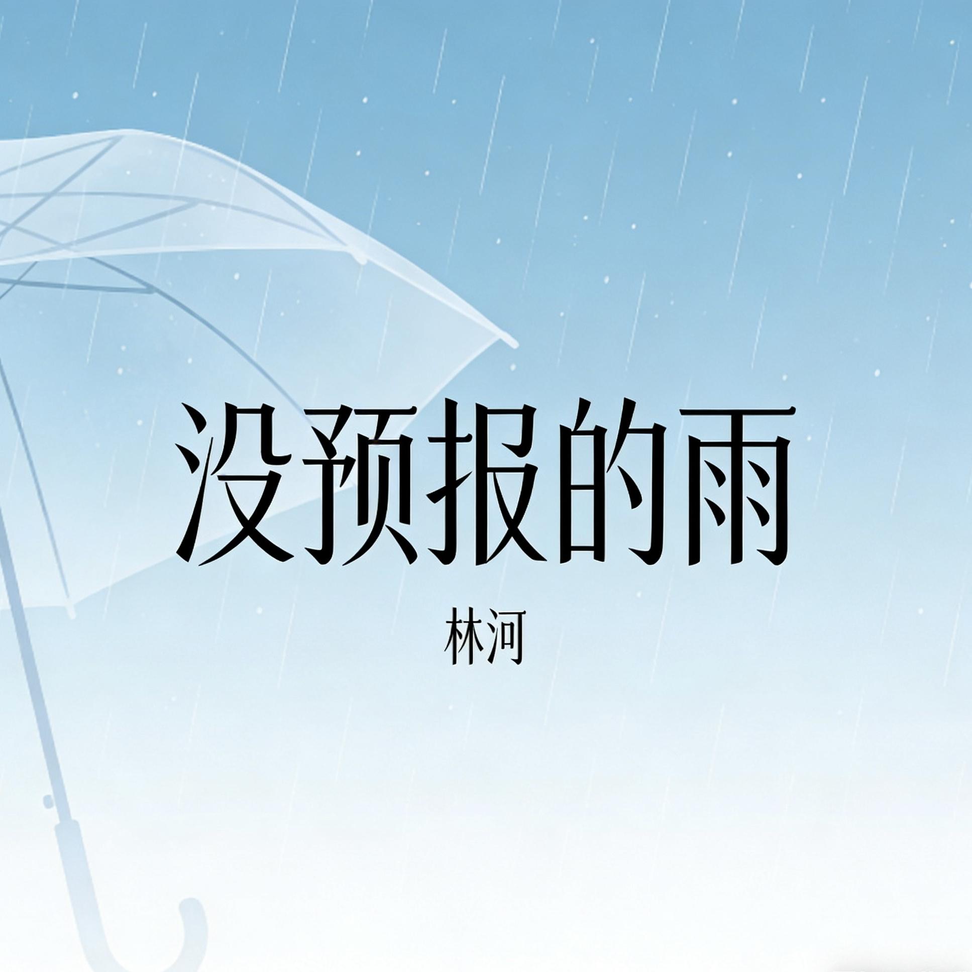 没预报的雨封面