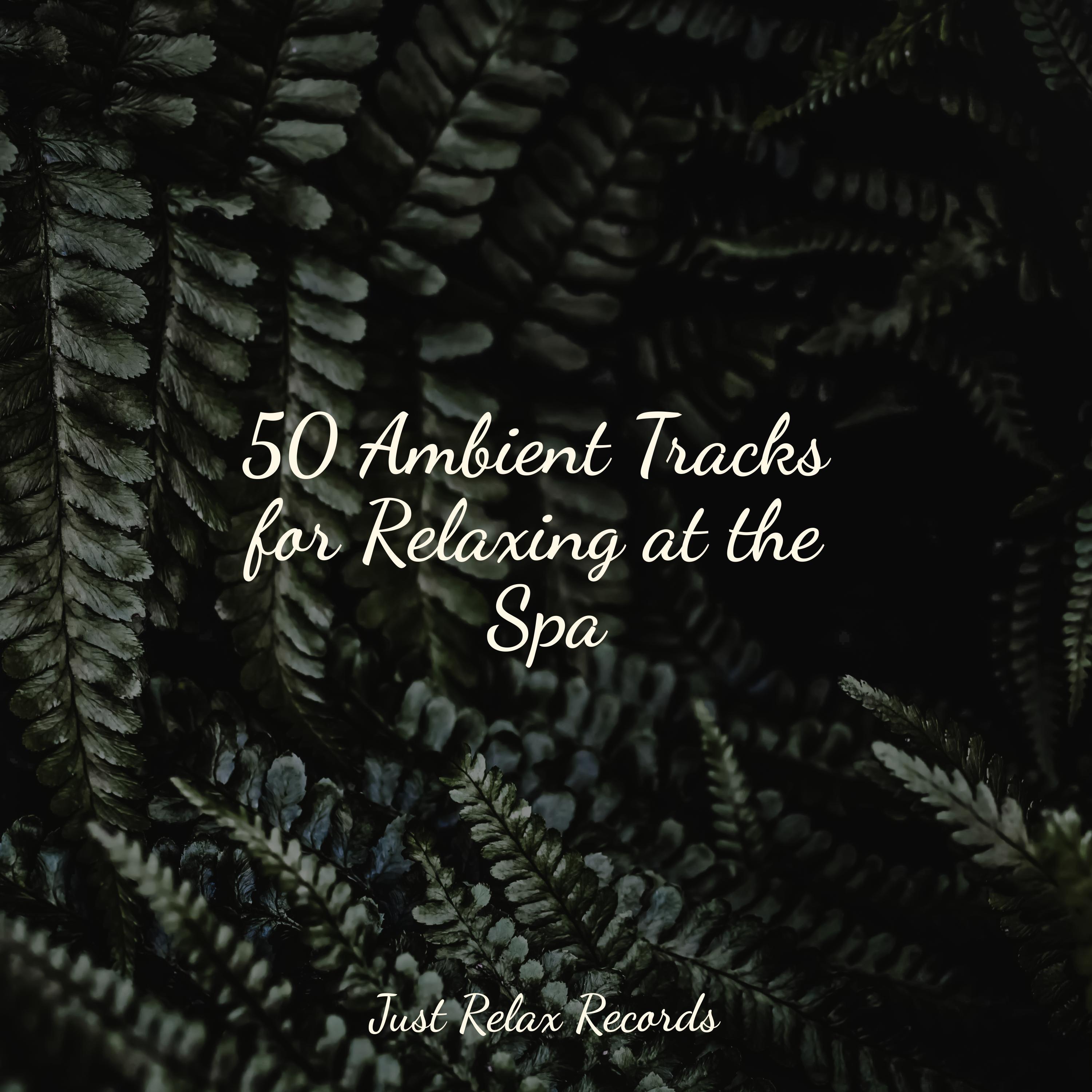 Somnolent Visions on Velvet Sheets Nursery Rhymes Club/Relajacion Del