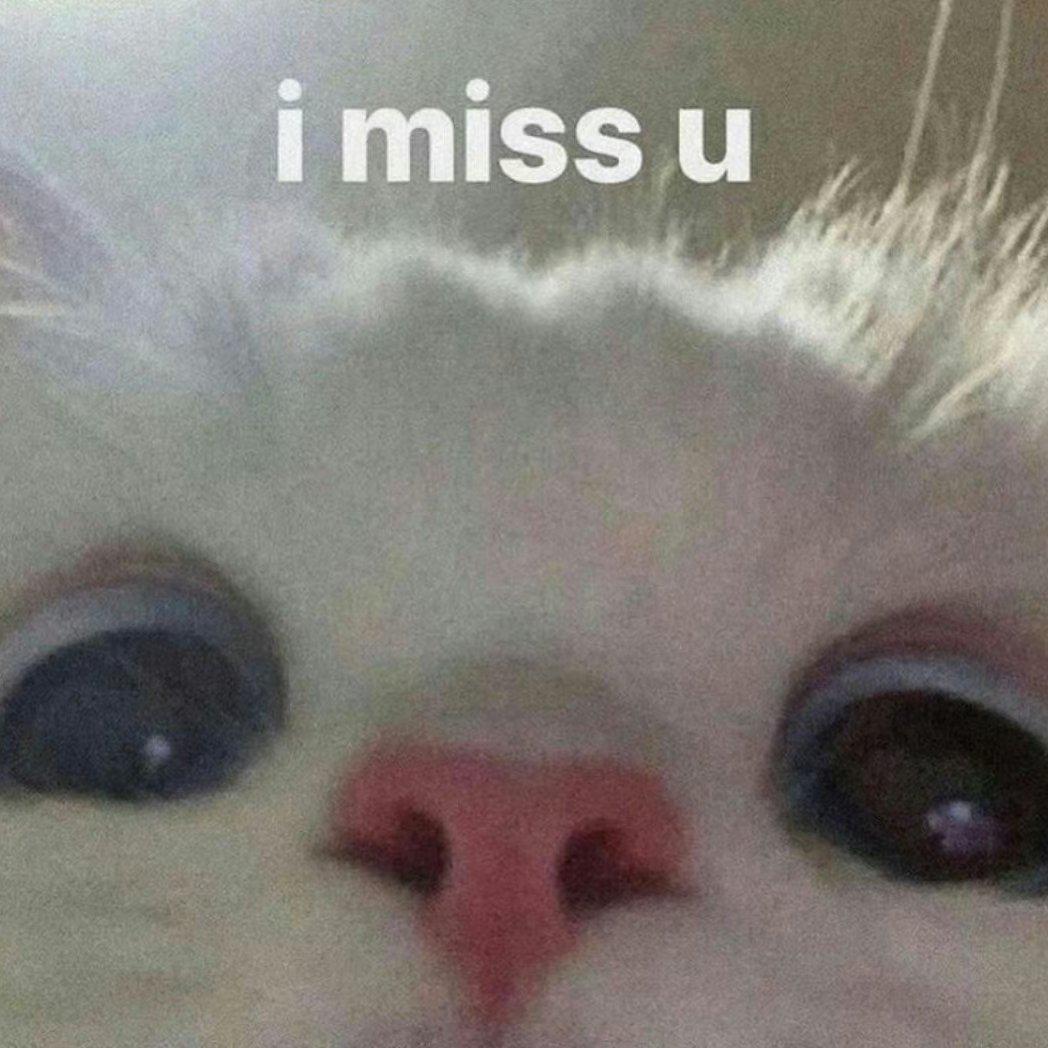 你的存在治愈我