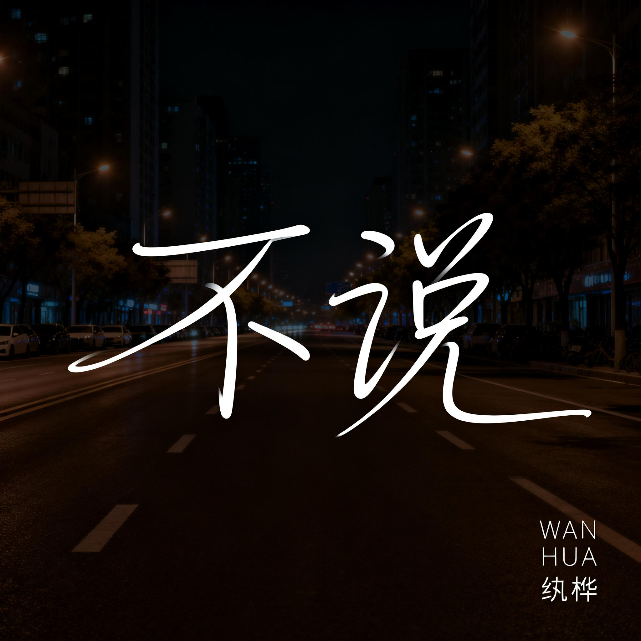 不说（抒情版）