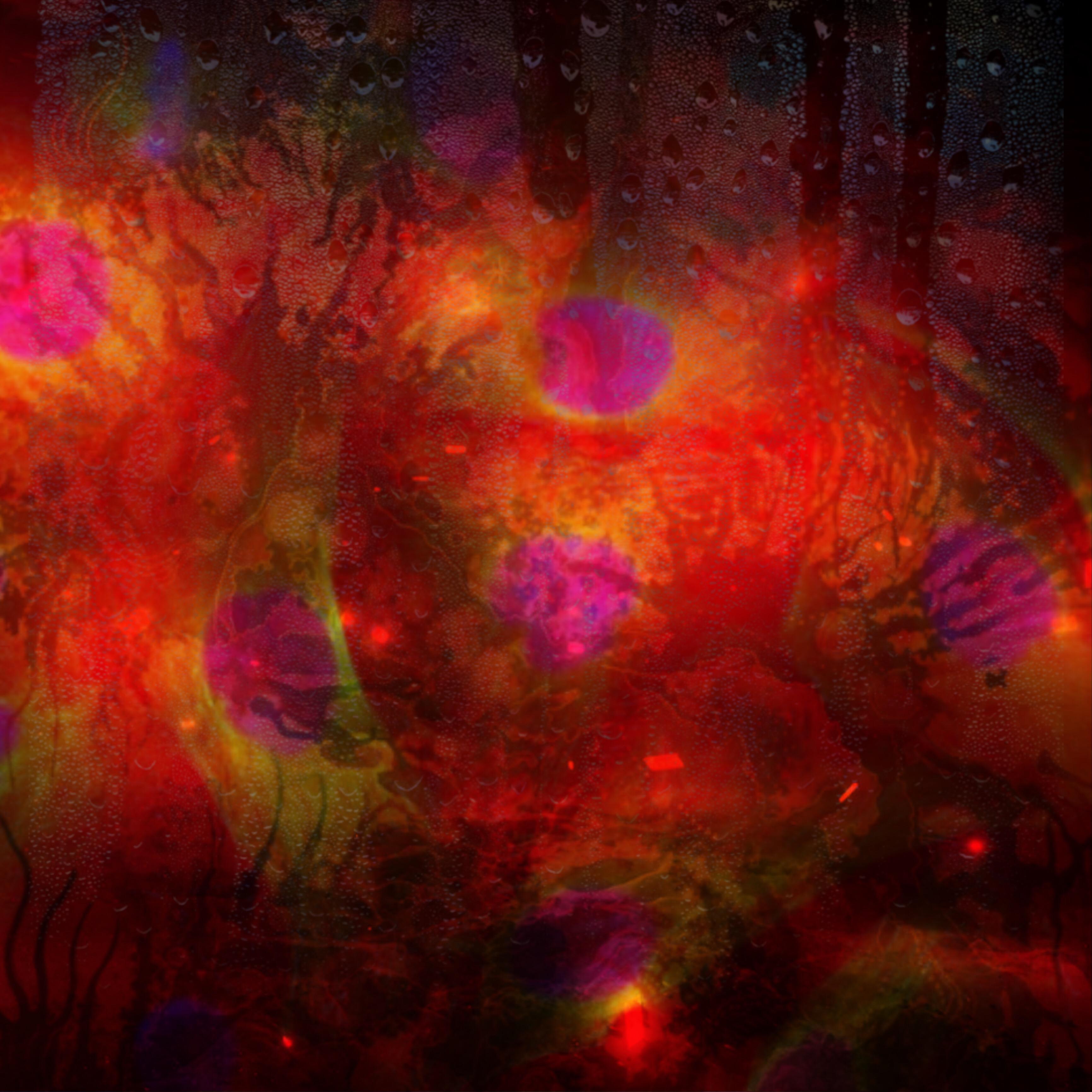 Love Hurtz (prod.Northeast Lights)