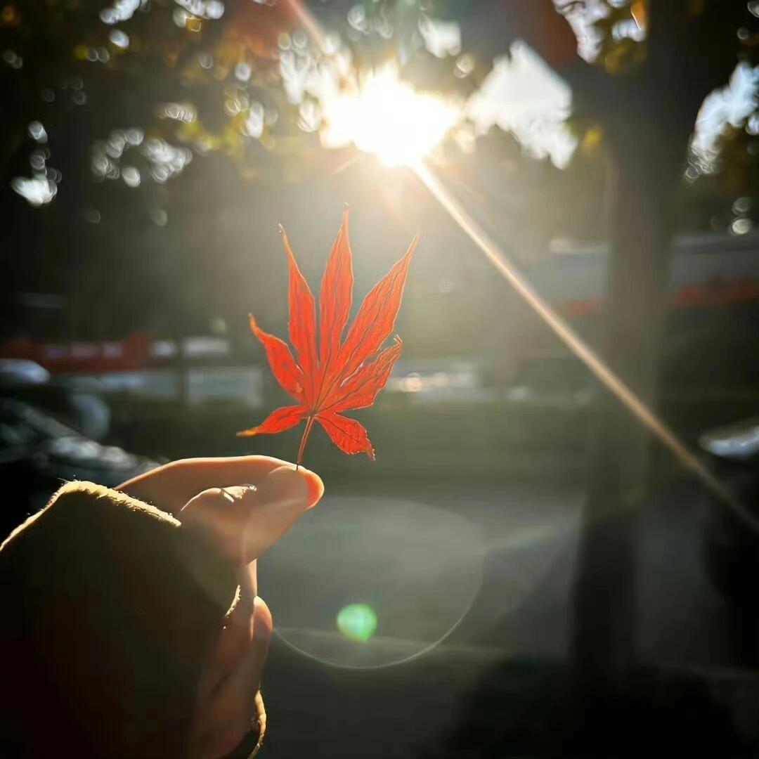 哪怕我命里有罪封面