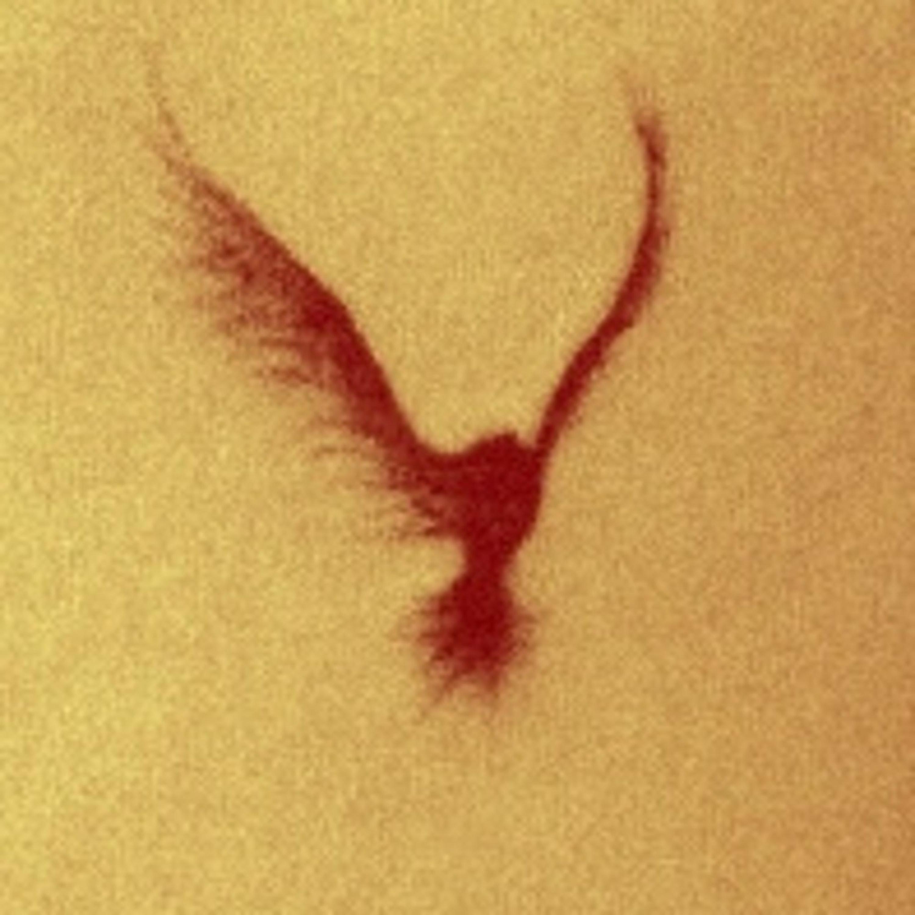 back2earth (feat. Fly Wondrfl, 16 Ghxst, J the Plug & 7uan!)