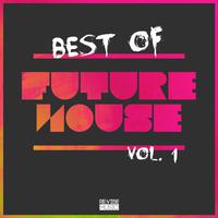 Best of Future House, Vol. 1