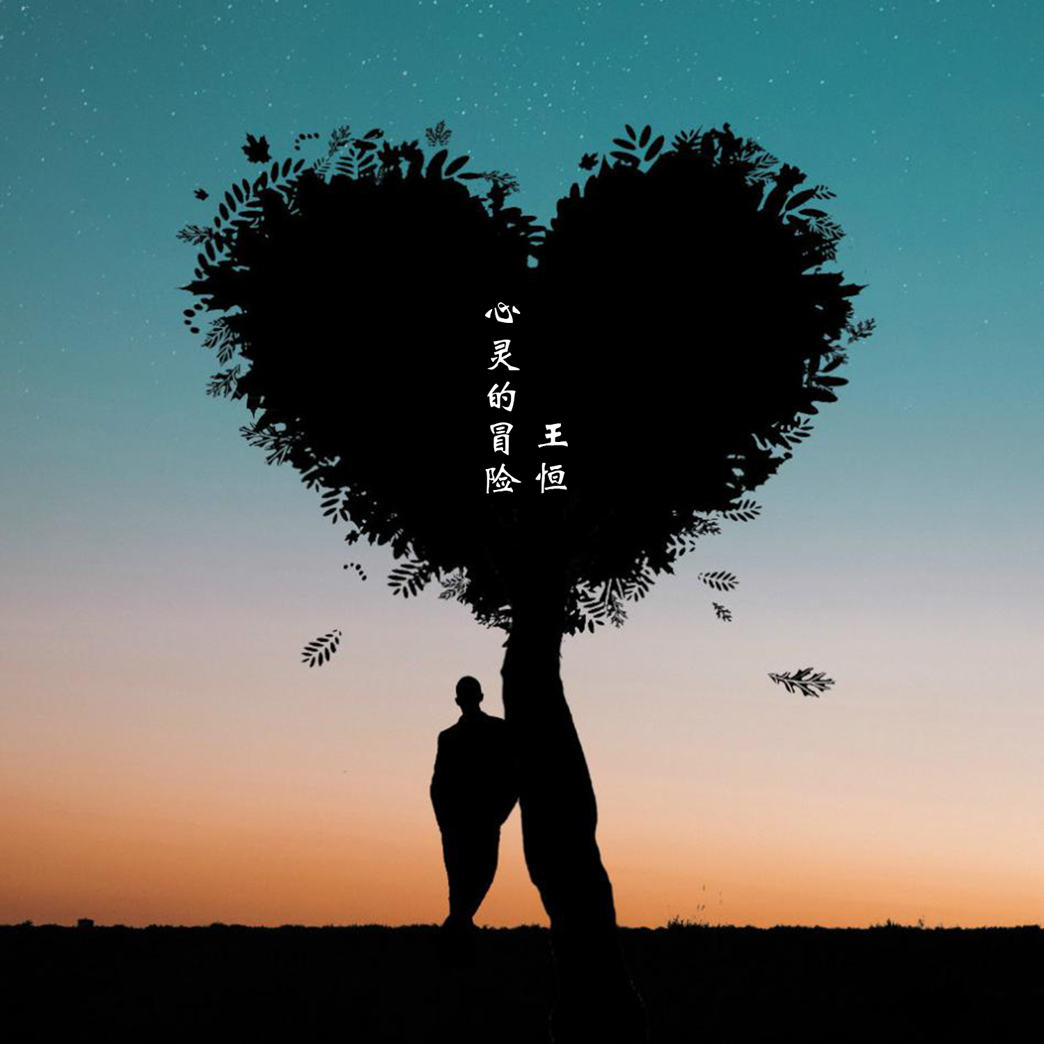 心灵的冒险封面