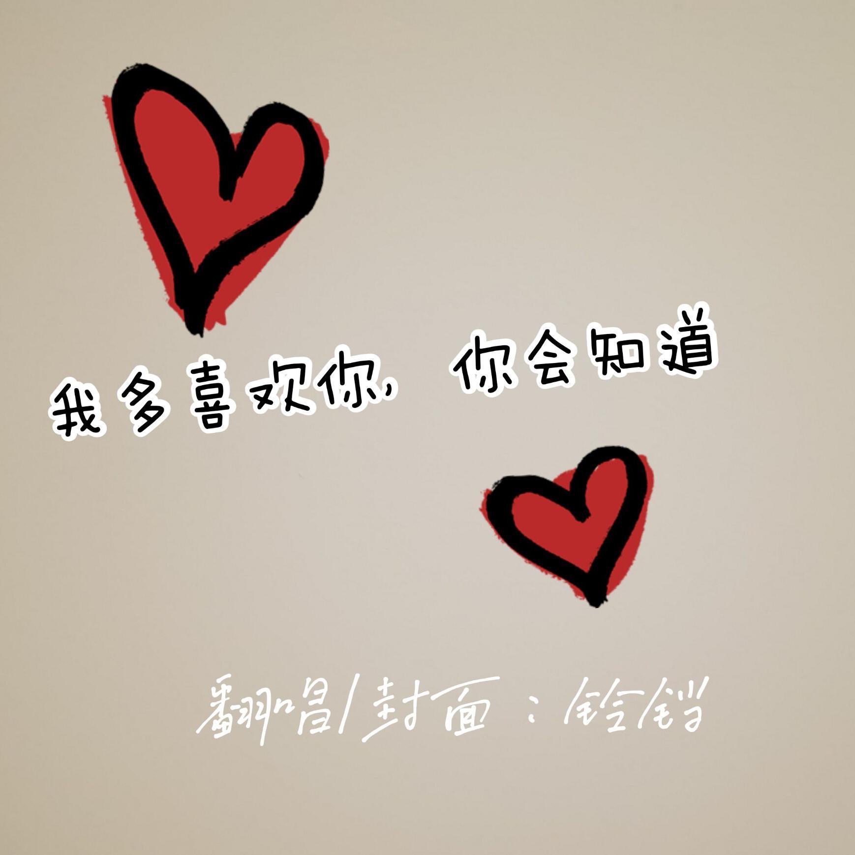 我多喜欢你，你会知道（翻自 群星）