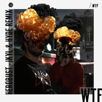 WTF (Jkyl & Hyde Remix)