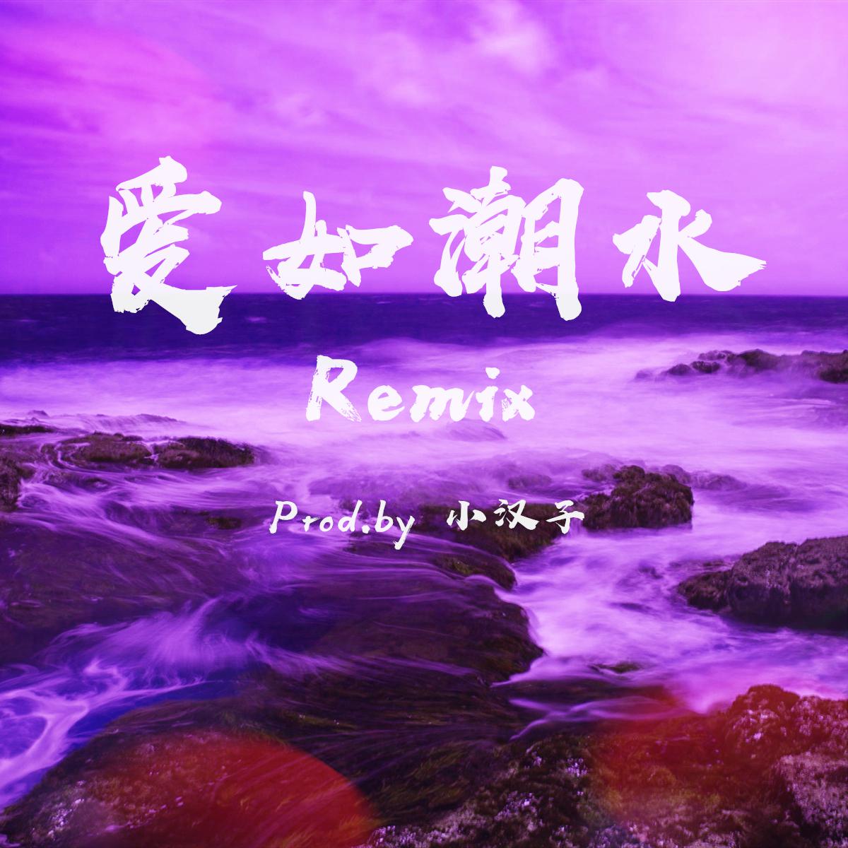 张信哲-爱如潮水(小汉子 remix)